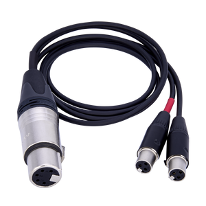 aXLR5F2YT3 - XLR5F to 2 x TA3F balanced cable